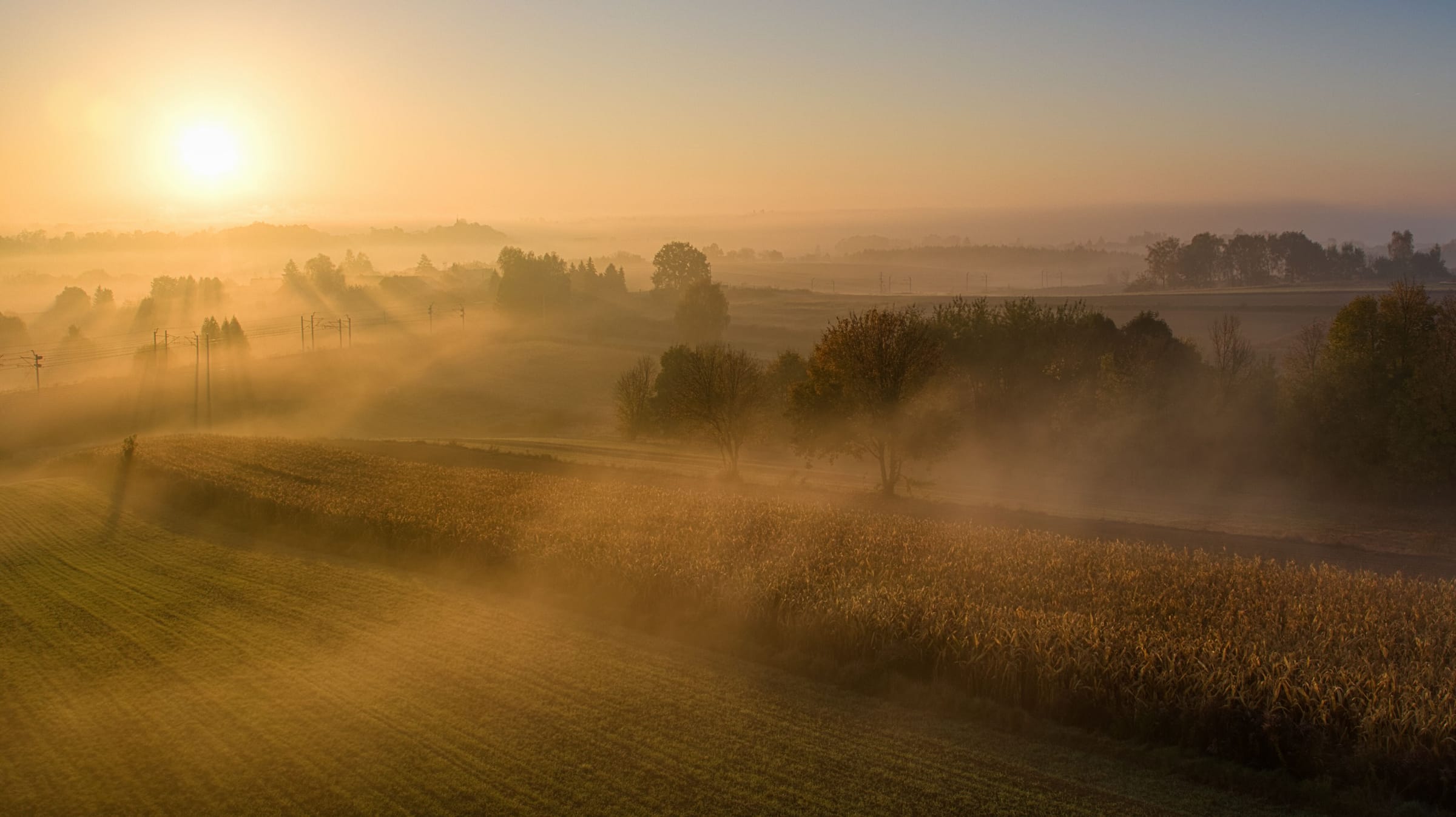 Misty fields and trees at sunrise